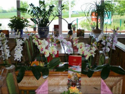 Foto: Nam Long